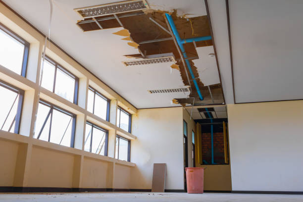 Water damage restoration mold remediation in Nashville, AR