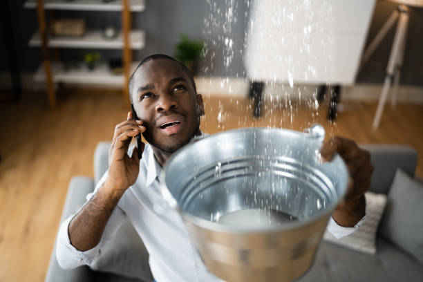 Best Flood restoration services  in Nashville, AR