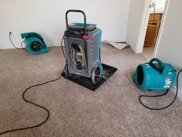 Best Water damage restoration experts  in Nashville, AR