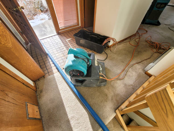 Best Water damage restoration near me  in Nashville, AR