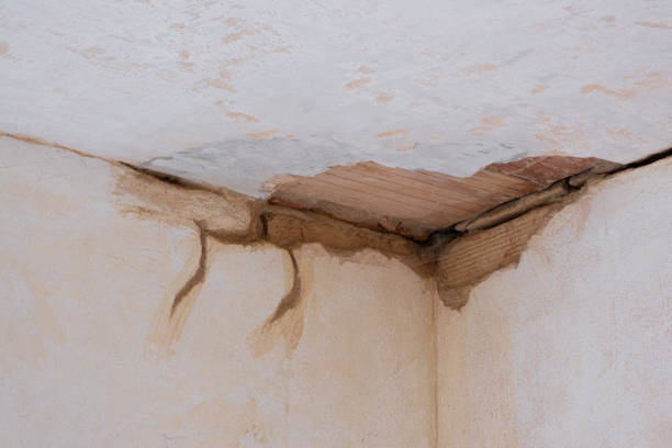 Best Water damage cleanup near me  in Nashville, AR