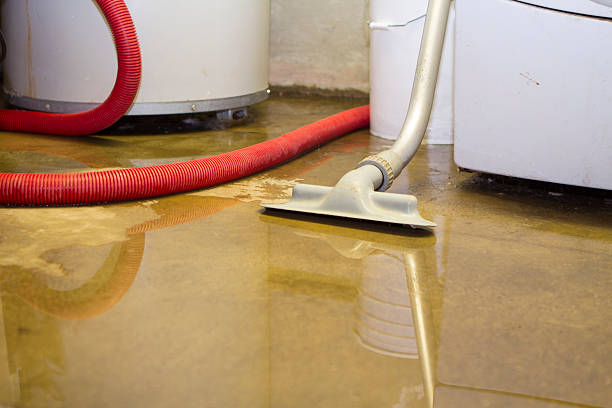 Best Carpet water damage restoration  in Nashville, AR
