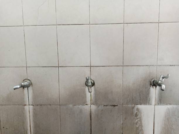 Best Fire Damage Restoration  in Nashville, AR
