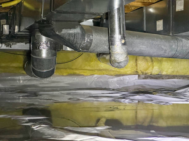 Best Local water damage restoration  in Nashville, AR