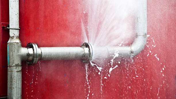 Best Mold removal after water damage  in Nashville, AR